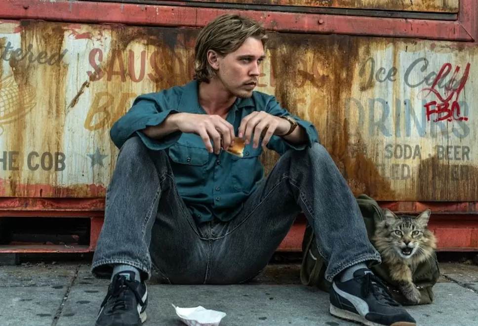 Tsunami Caught Stealing Ladrões