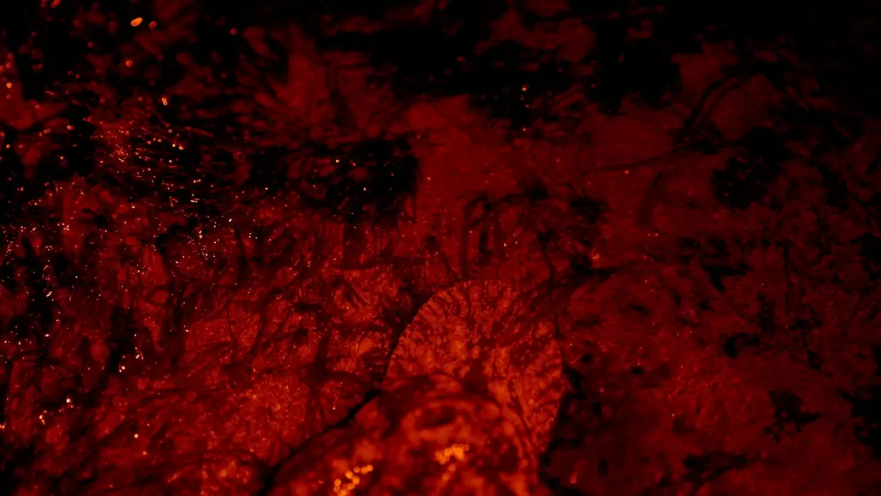 Solar apresenta “Pós-Laboratórios de Verão”