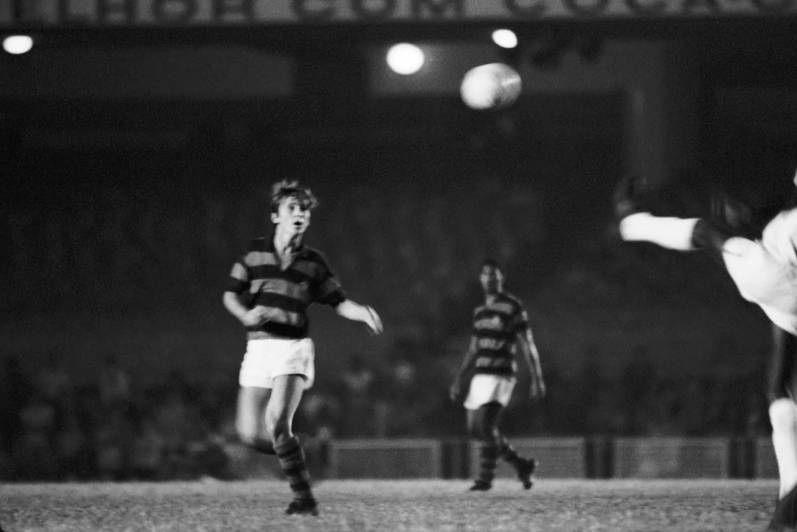 João Wainer revive a glória de Zico