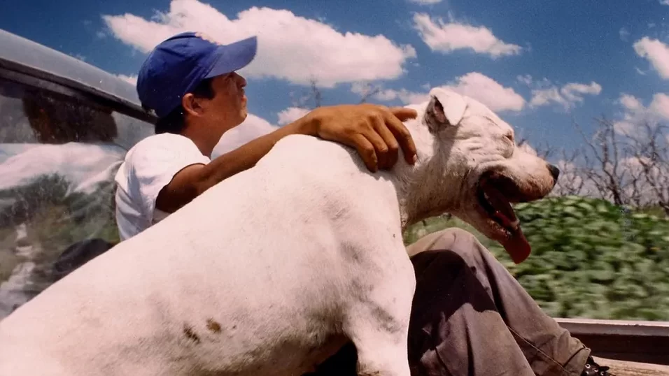 Novos filmes de Lisandro Alonso, Clio Barnard e Radu Jude na Quinzena dos Cineastas