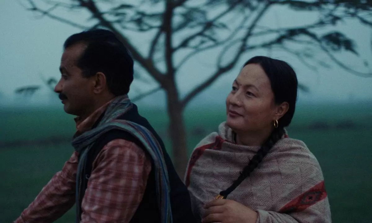Elephants in the Fog: “No Nepal, as pessoas olham para a comunidade Kinnar sem ver o todo” — Abinash Bikram Shah
