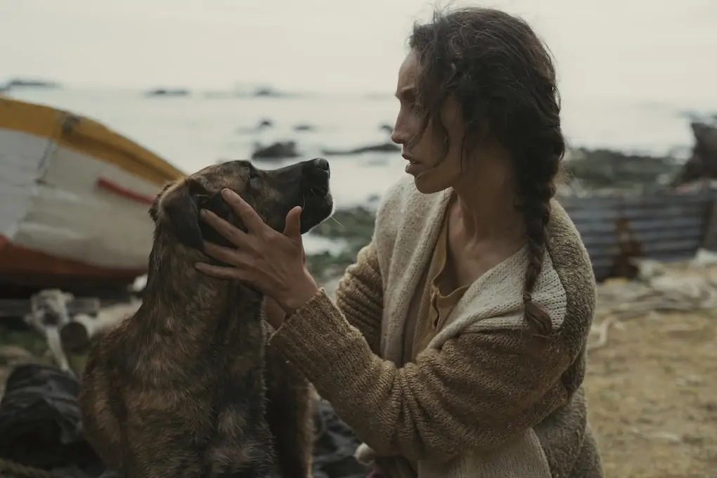 Cadela que protagoniza “La Perra” vence Palm Dog