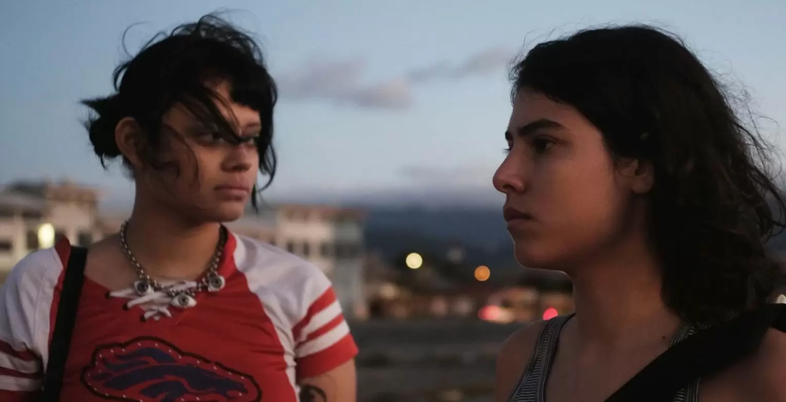 “Siempre Soy Tu Animal Materno” reforça os laços da fraternidade