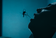 Crawlers – Bons Sonhos: A eficácia como único veneno